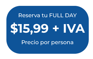 inmoresorts Ecuador inmoresorts Manabí inmoresorts proyectos inmoresorts Paquetes Turísticos inmoresorts bienes raíces inmoresorts lote playa inmoresorts casas de playa inmoresorts tours bienes raíces vacacionales Ecuador proyectos inmobiliarios de playa Ecuador lotes frente al mar Ecuador casas de playa en Manabí villas frente al mar Ecuador inversión inmobiliaria turística Ecuador desarrollos residenciales costeros Ecuador proyectos residenciales junto al mar terrenos en la playa Ecuador bienes raíces con retorno de alquiler turístico
