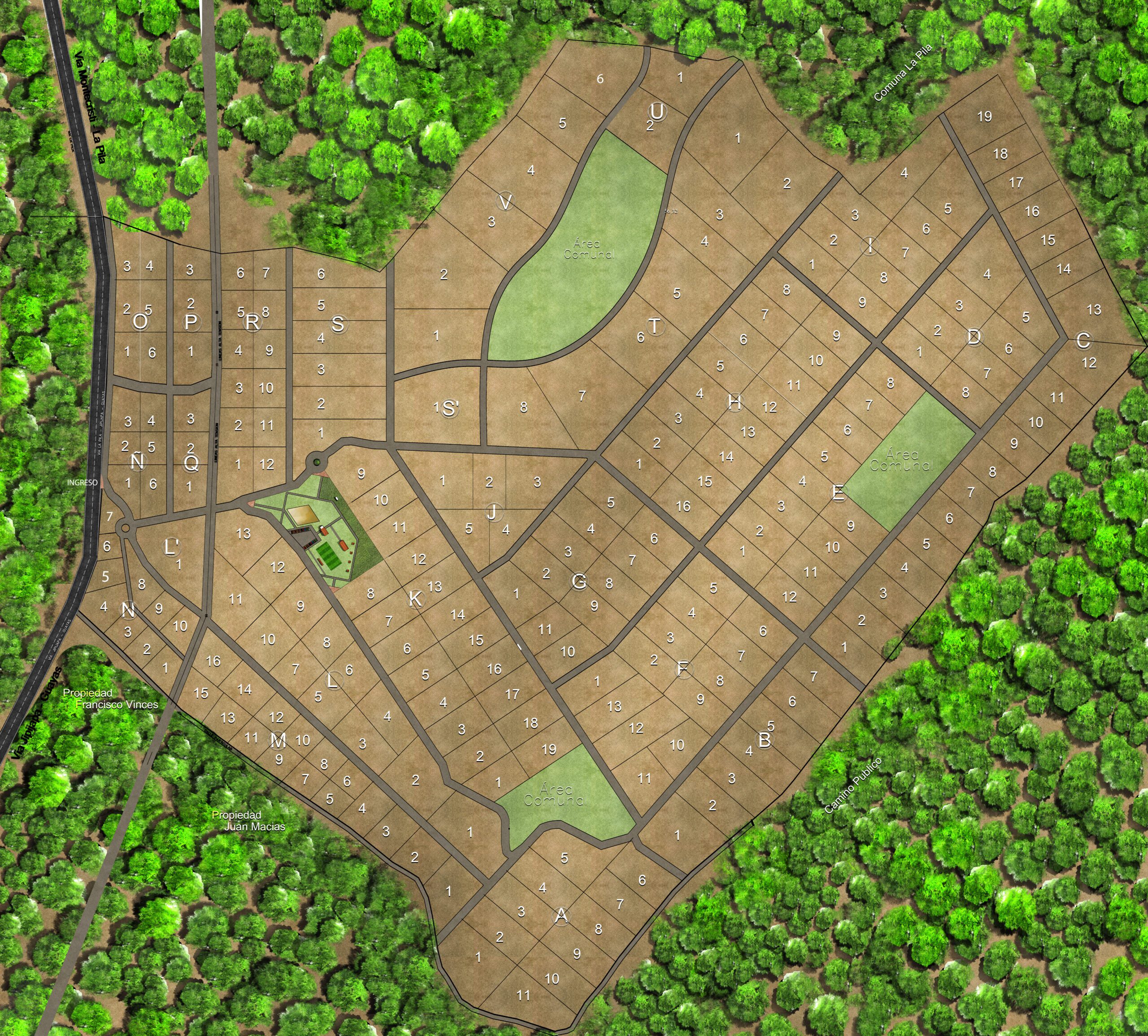 Paseo de los Ceibos 2026 555